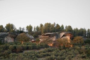 Immagine N°: 14416849