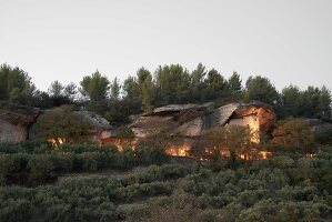 Immagine N°: 14416851