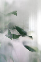 N° de l'image 14498813