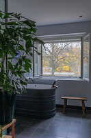 N° de l'image 14498825