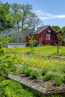 Immagine N°: 14509787