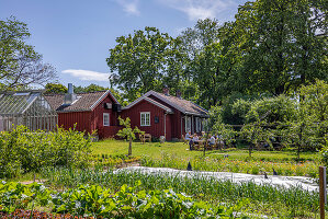 Immagine N°: 14509789