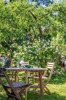 Immagine N°: 14509819