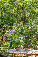 Immagine N°: 14509821