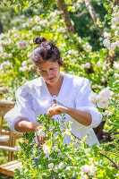 Immagine N°: 14509823