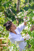 Immagine N°: 14509825