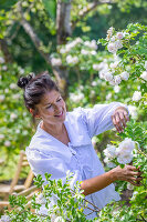 Immagine N°: 14509827