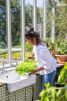 Immagine N°: 14509831