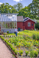 Immagine N°: 14509835