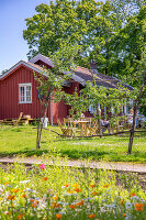 Immagine N°: 14509837