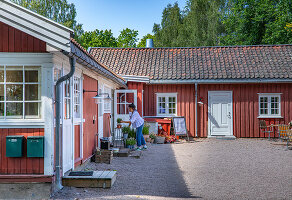 Immagine N°: 14509839