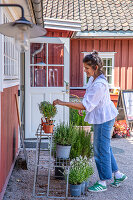 Immagine N°: 14509841