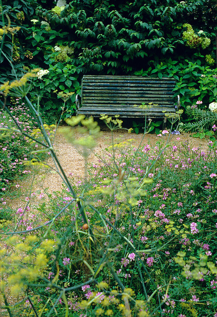 Verzauberter Garten – Features kaufen – 11164024 living4media