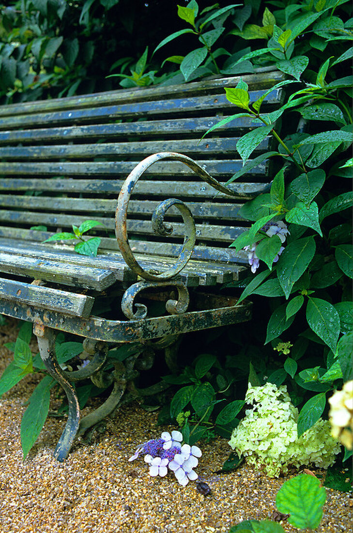 Verzauberter Garten – Features kaufen – 11164024 living4media