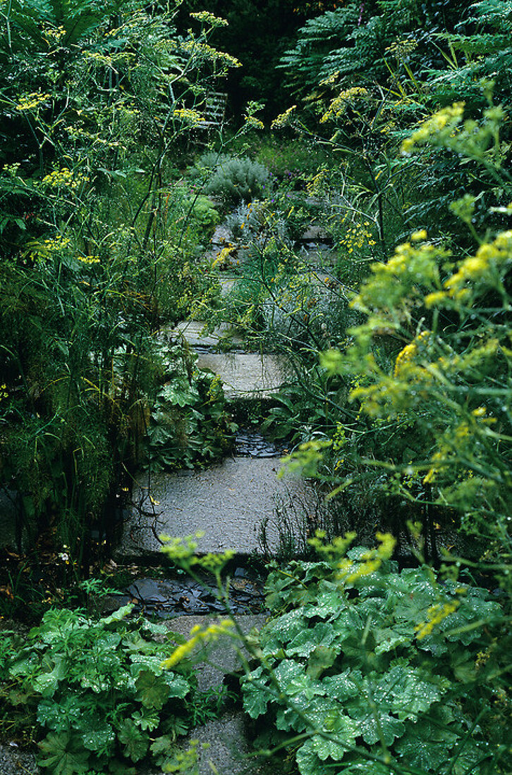 Verzauberter Garten – Features kaufen – 11164024 living4media