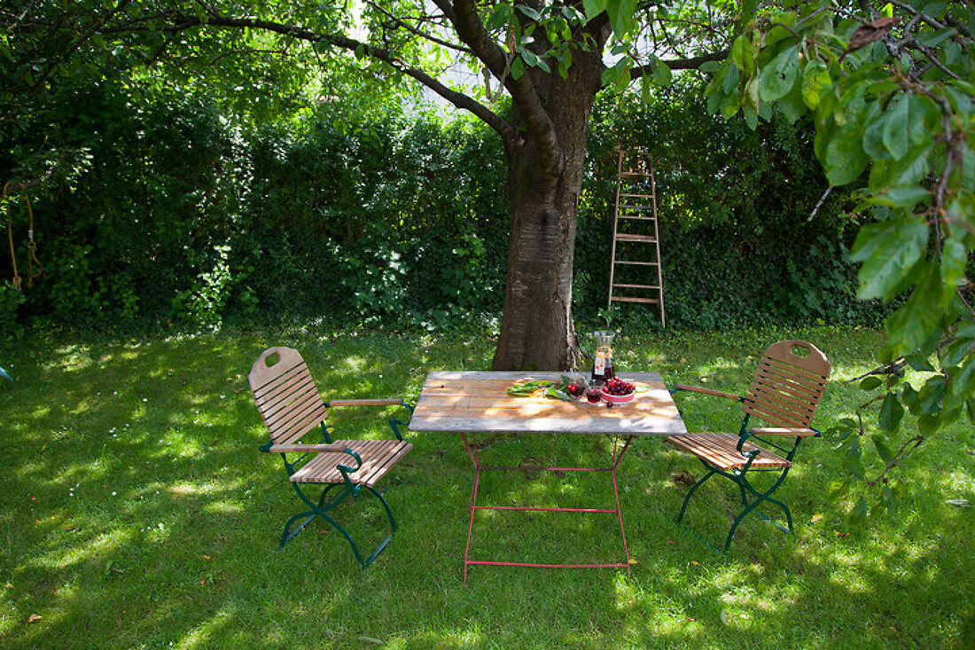 Unterm Kirschbaum – Features kaufen – 11434124 living4media