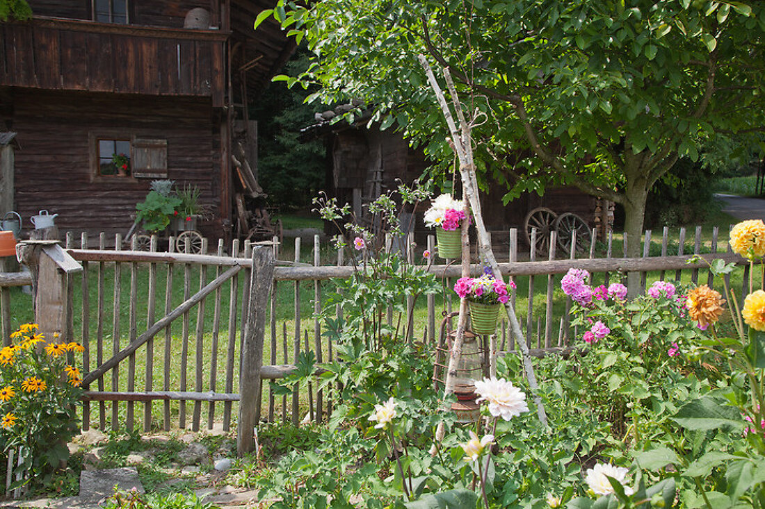 Blossoming Cottage Garden