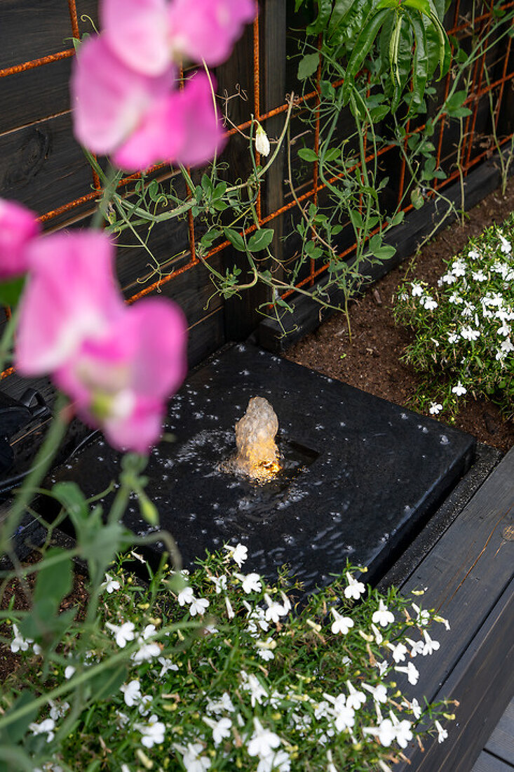 Cabrio-Feeling – Features kaufen – 12966086 living4media