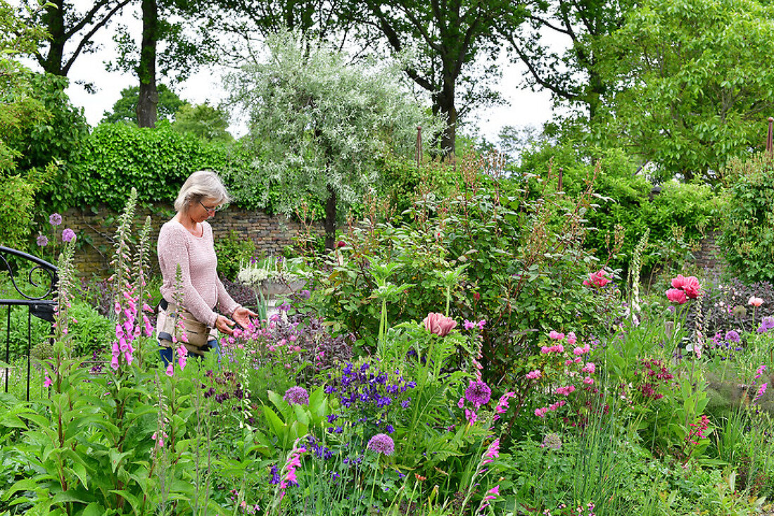 Romantic Garden with Timeless Charm