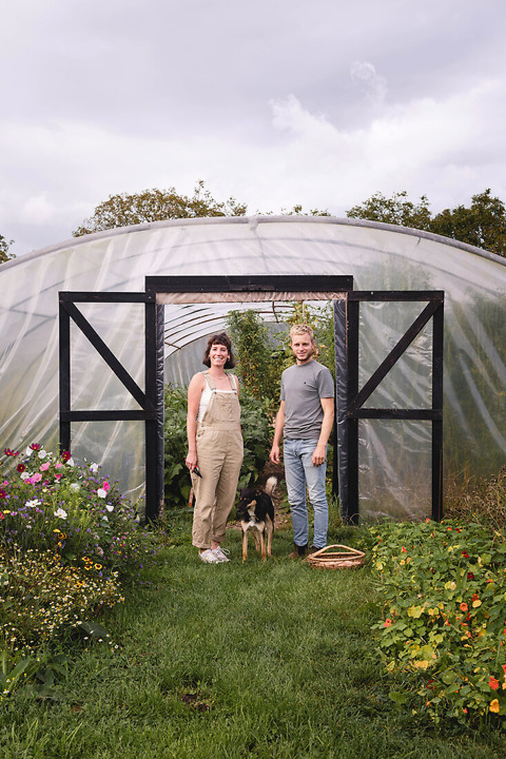 Growing Dreams with Nature’s Bounty