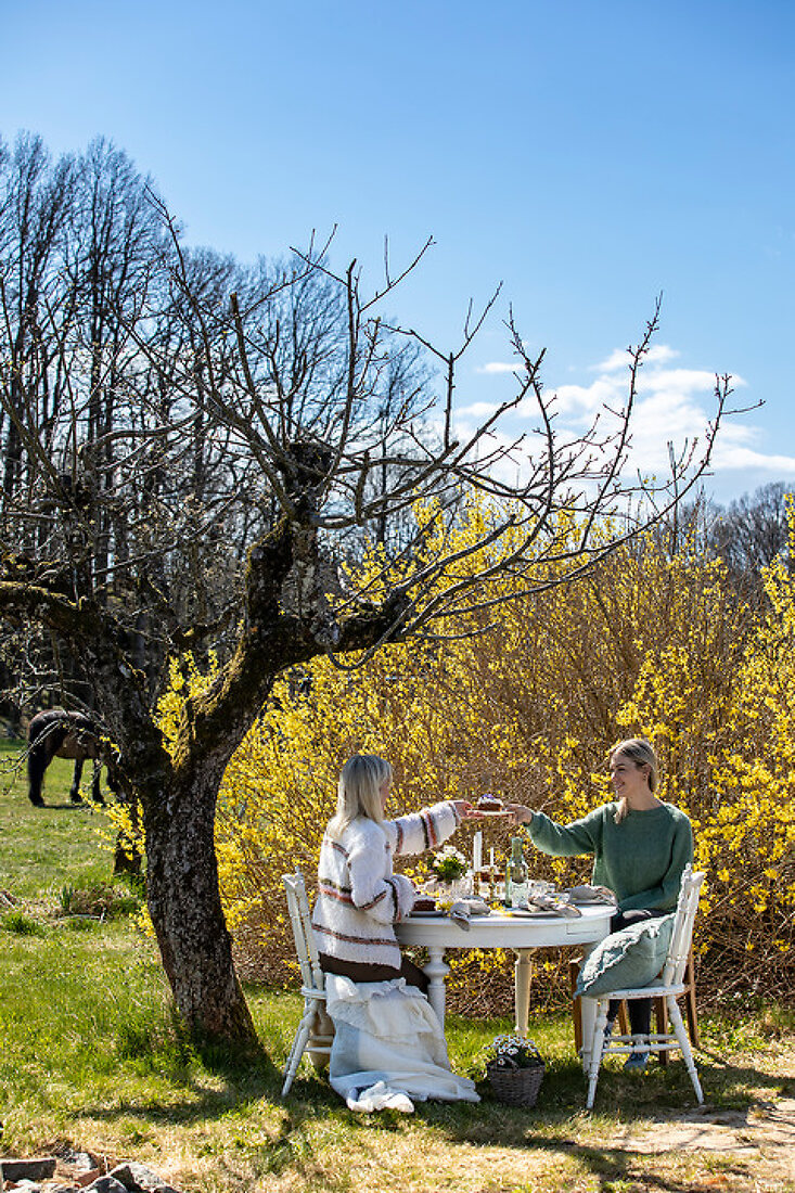 Springtime at Jeanett’s Farm