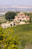 The Essence of Tuscany