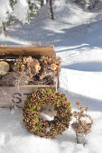 Treasures from the Forest