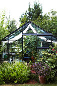 The Beauty of Glass Houses