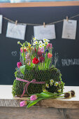 Blossoming Moss