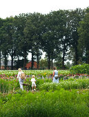 Flower Picking Delight