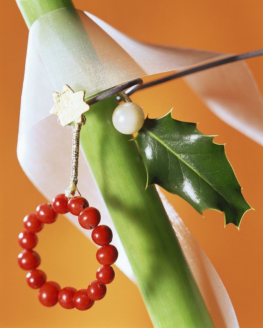 Christmas decoration of holly berries and amaryllis