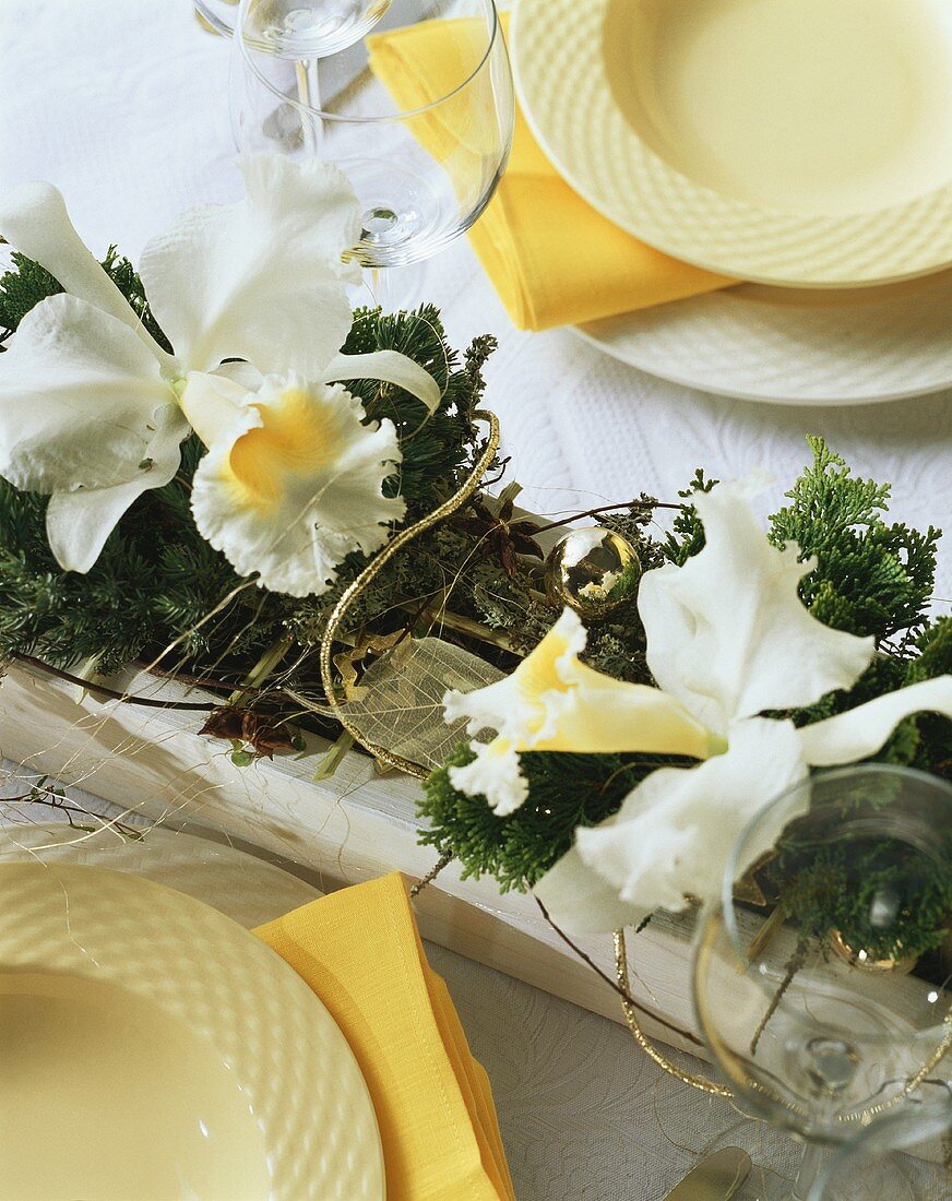 Cattleya orchids (table decoration)
