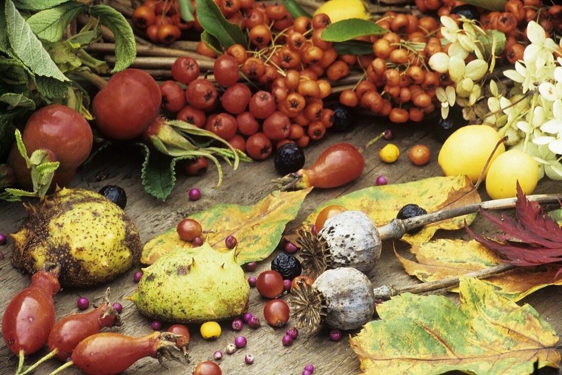 Herbststilleben mit Beeren, Blättern und Samenständen