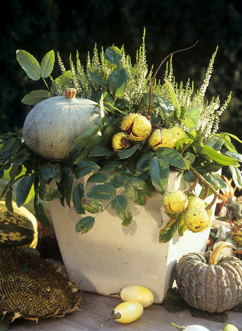 Arrangement of heather, chestnuts and ornamental gourds