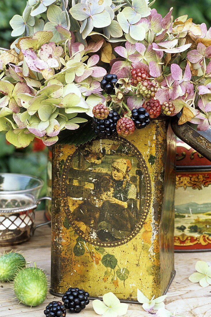 Hydrangeas and blackberries in a painted tin