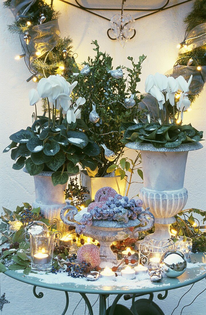 Christmas decoration with cyclamen on table