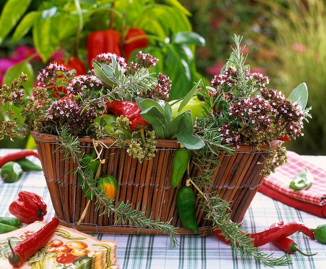 Basket of herbs and ornamental peppers