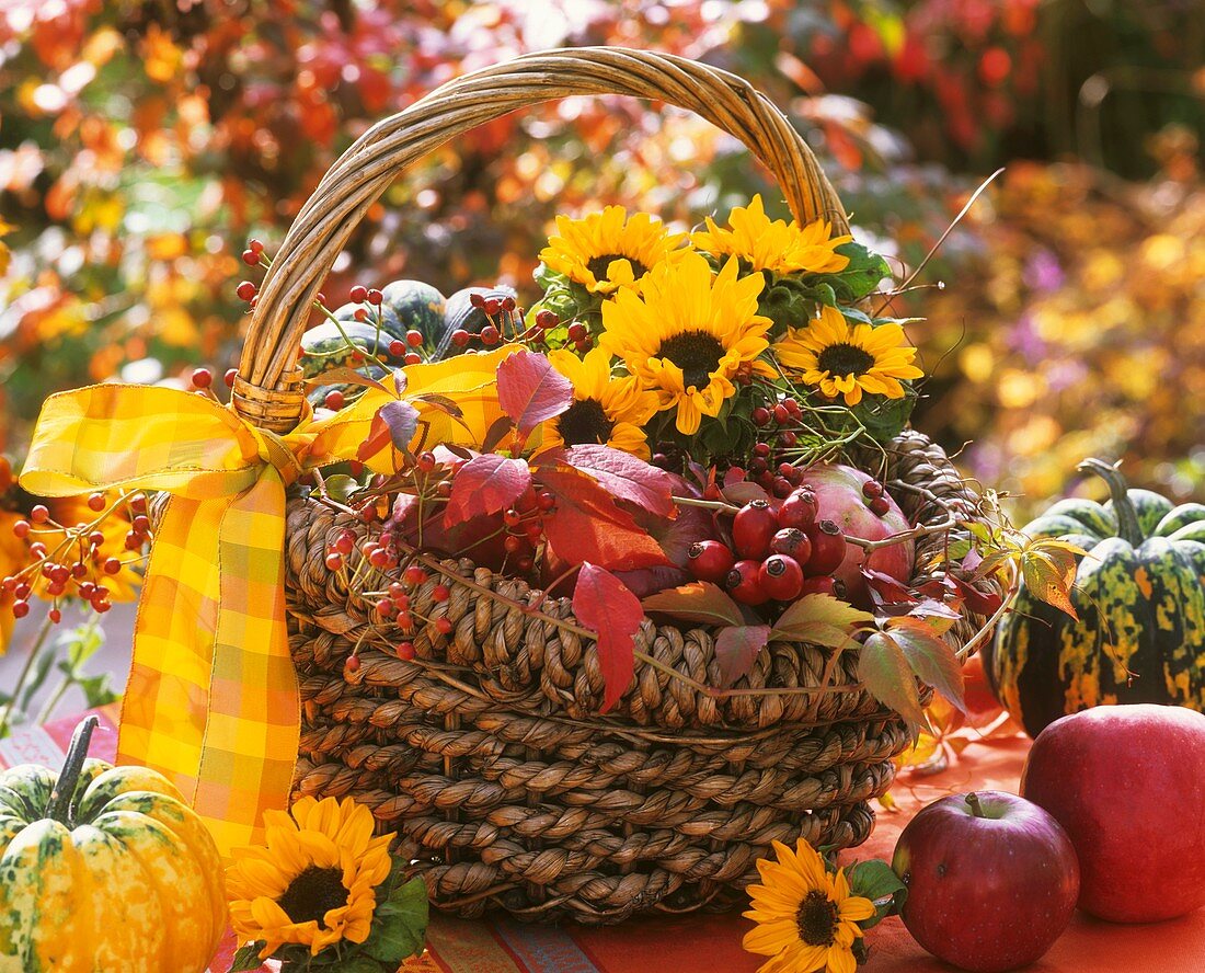 Basket of sunflowers, apples and rose hips