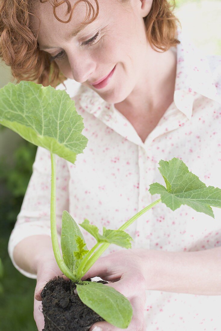 Junge Frau mit Zucchinipflanze