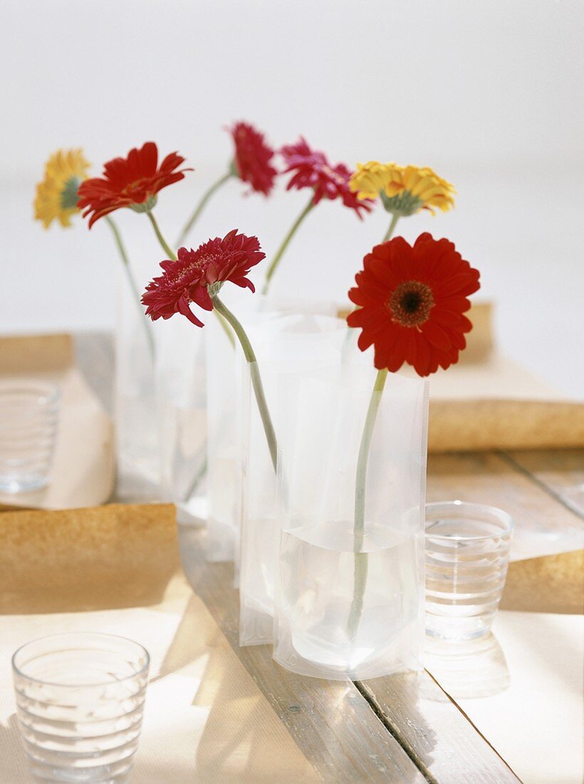 Vases of gerbera daisies