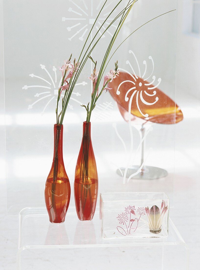 Verschiedene Vasen mit Pflanzen