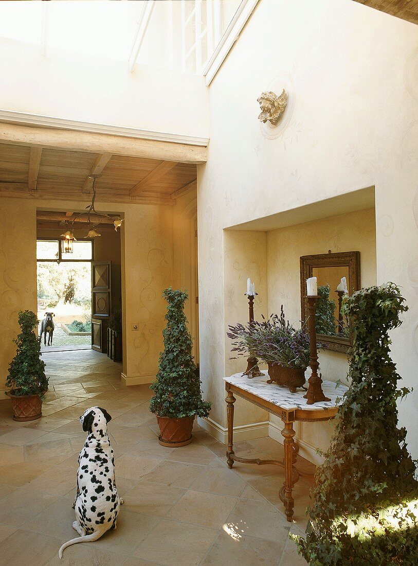 Dogs in entrance area of house