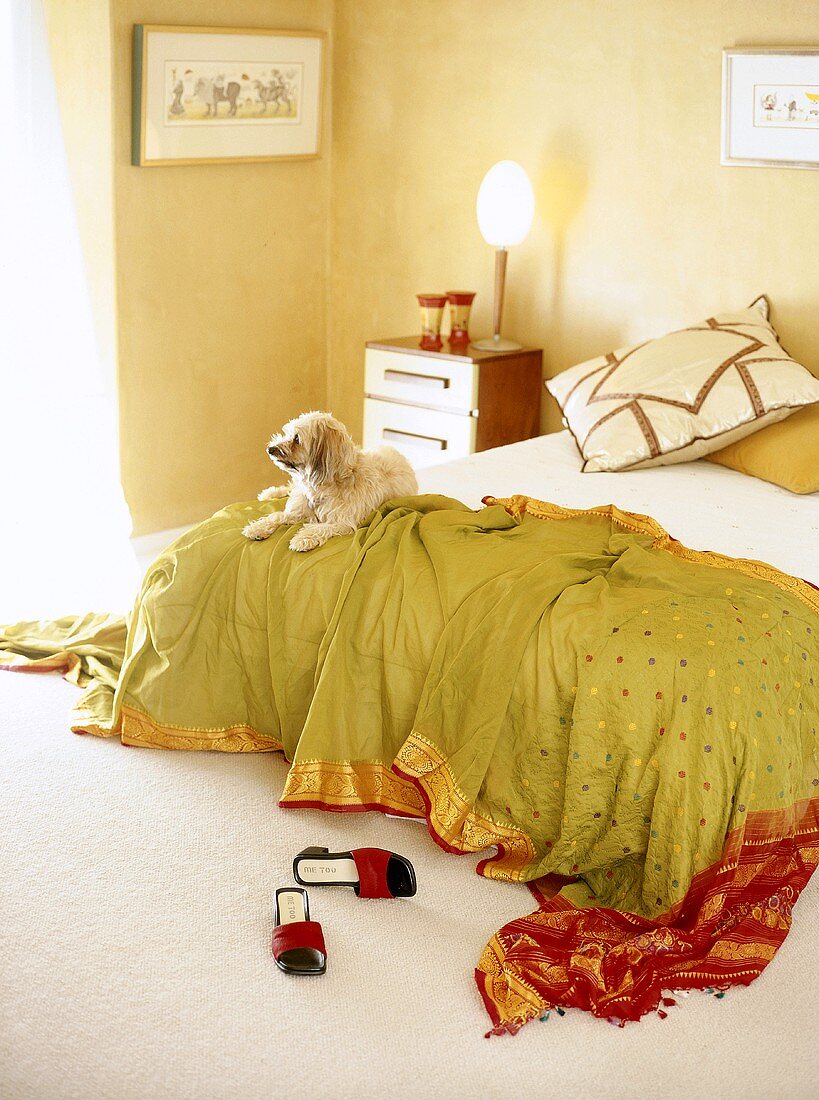 Grüner Seidenüberwurf mit Gold-roten Verzierungen auf einiem Doppelbett; darauf trohnt ein kleiner Hund