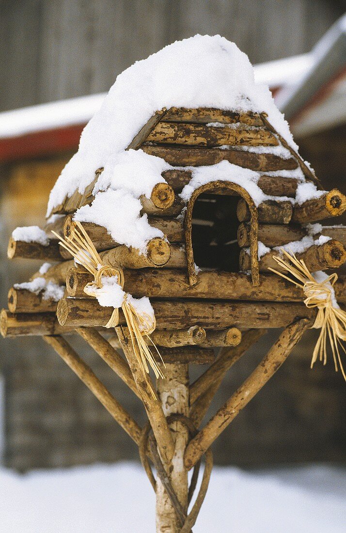 A bird house in winter