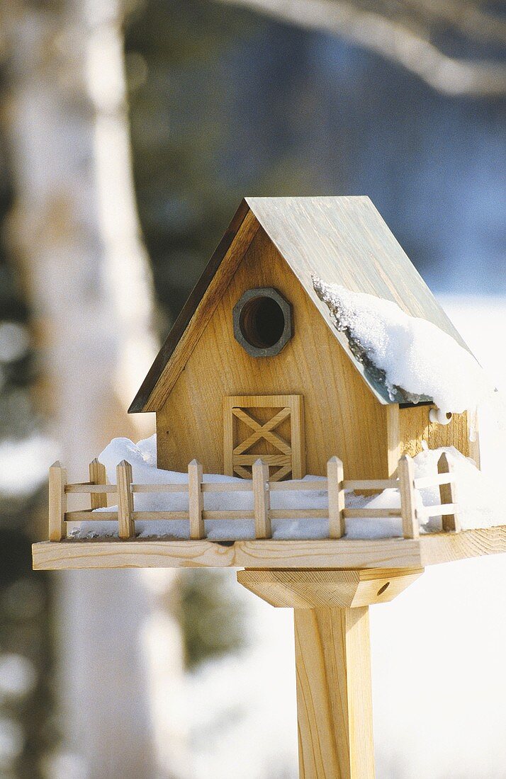 Ein Vogelhaus im Winter