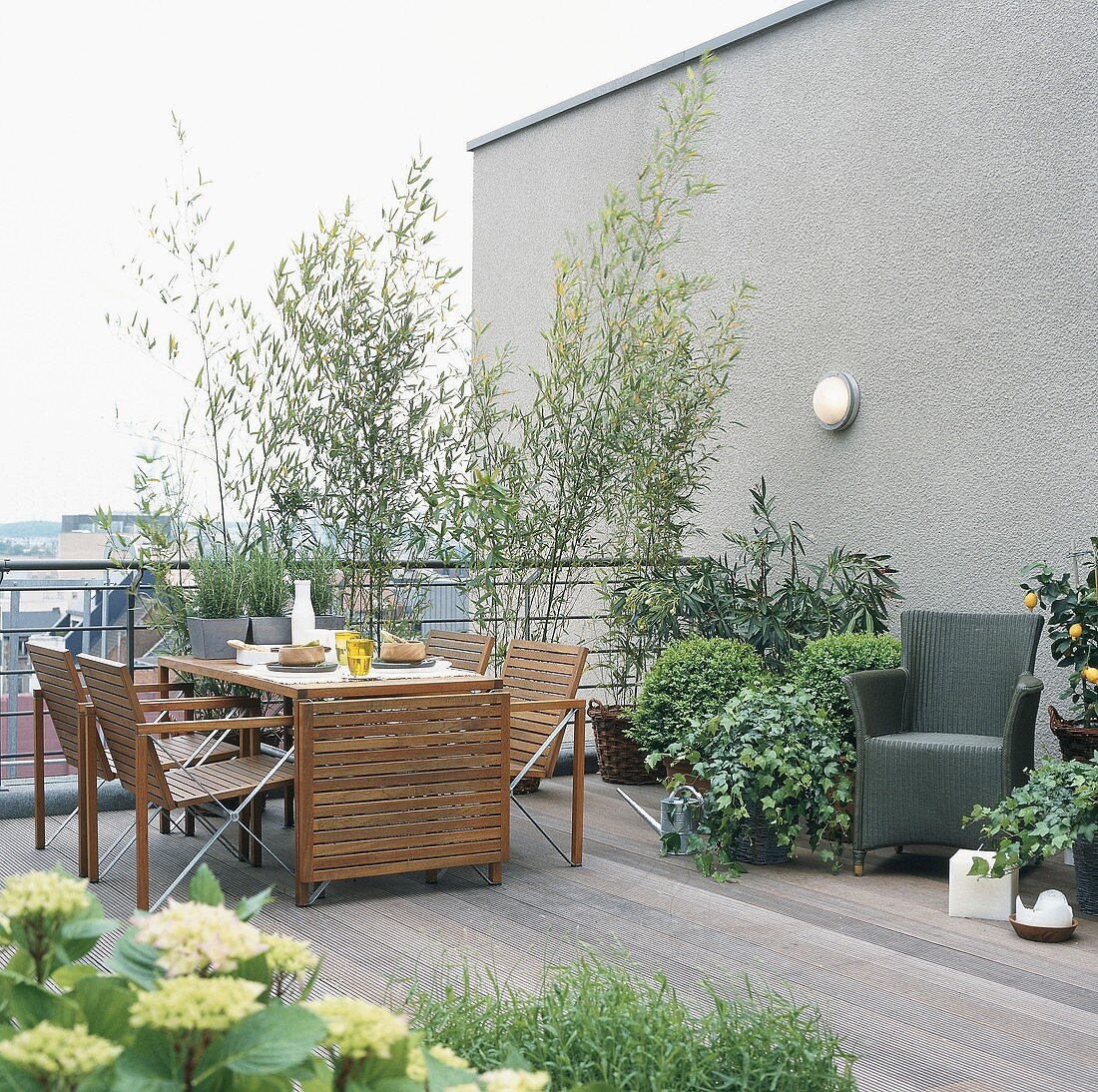 Gedeckter Tisch und Pflanzen auf einer Terrasse