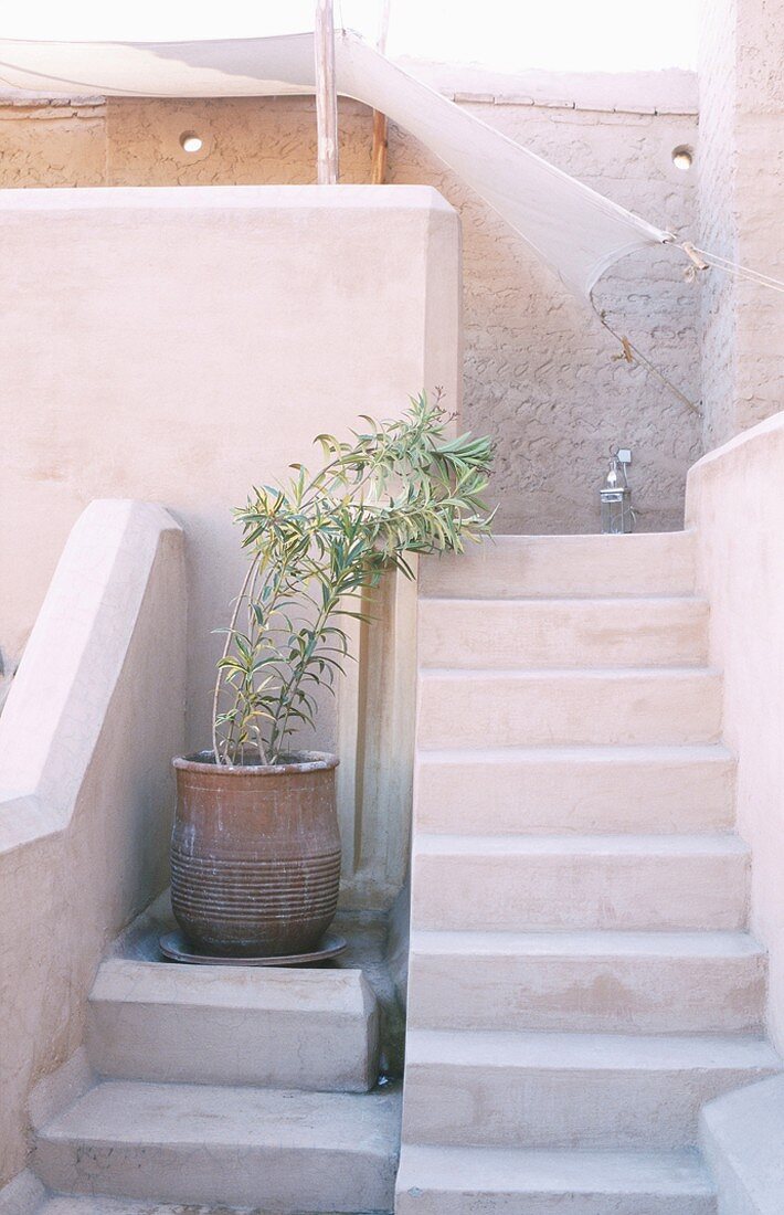 Mediterrane Außentreppe neben großer Topfpflanze