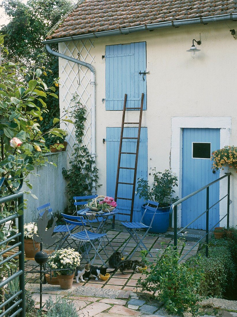 Terrasse mit Gartenmöbeln und Katzen