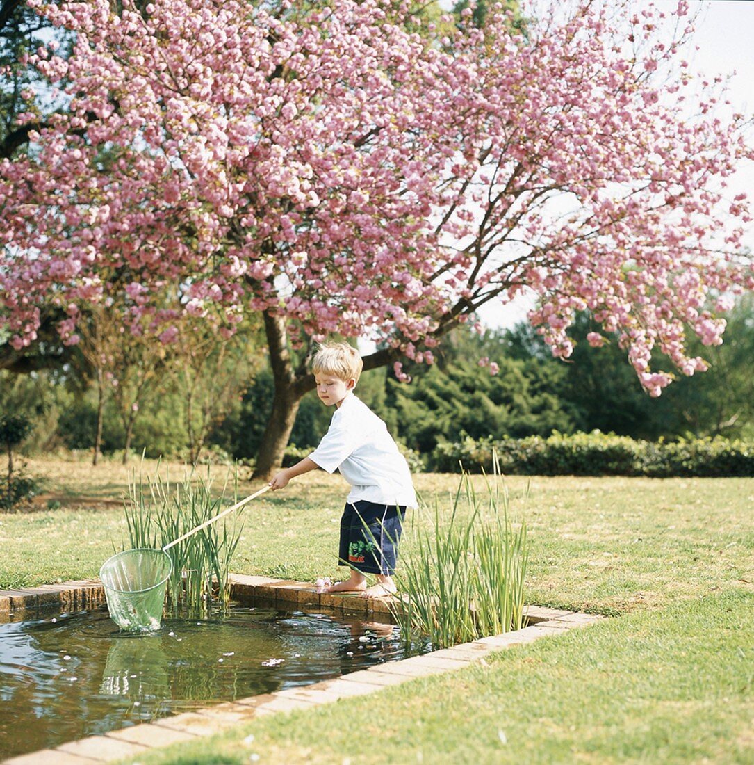 Junge mit Käscher am Teich im Garten