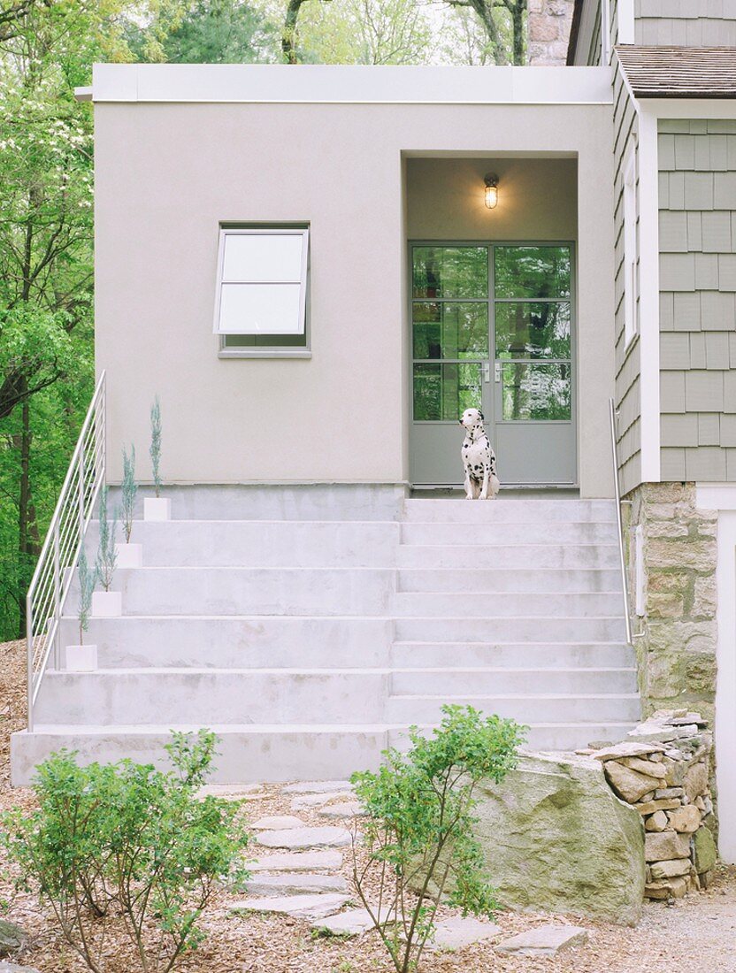 Treppenaufgang mit Eingangstür und davor sitzendem Dalmatiner